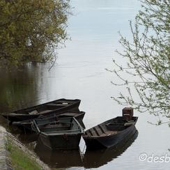 fontevraud22006-04-20 0084