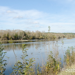 2011-10-31 370 loireD7000
