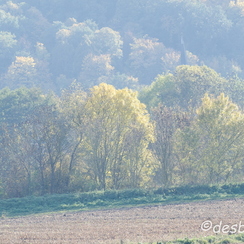 2011-10-31 387 loireD7000