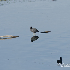 2011-10-31 402 loireD7000