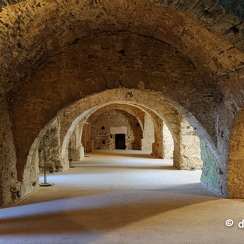 2010-08-11 1126ete10D700santper