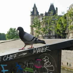 les quais-128