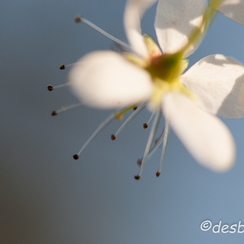20080301 557-montb