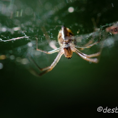 2011-09-18 72 montbD7000