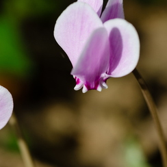 2011-09-18 93 montbD7000
