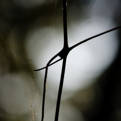 2011-10-15 55 chambrayD7000
