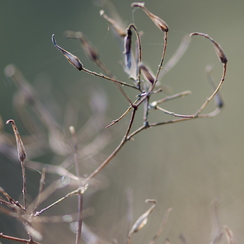 2011-10-16 12 montbD7000