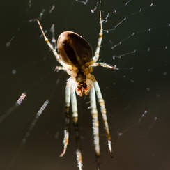 2011-10-16 59 montbD7000