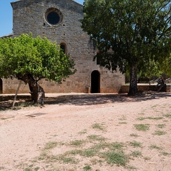 le thoronet-277