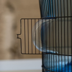 2013-08-09 88montmajourD800E