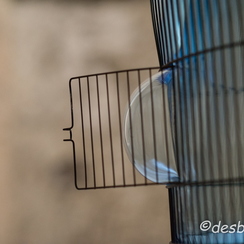 2013-08-09 93montmajourD800E