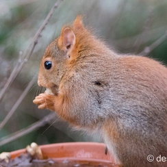 2014-01-05 51montbD7100