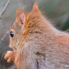 2014-01-05 57montbD7100