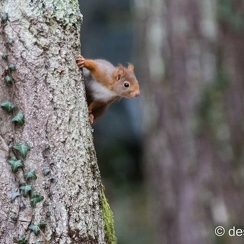 2014-01-05 64montbD7100