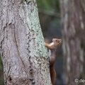 2014-01-05 66montbD7100