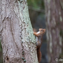 2014-01-05 66montbD7100