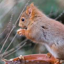 2014-01-05 68montbD7100