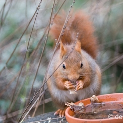 2014-01-05 87montbD7100