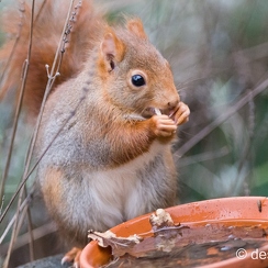 2014-01-05 90montbD7100-2