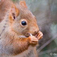 2014-01-05 90montbD7100