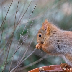 2014-01-05 104montbD7100