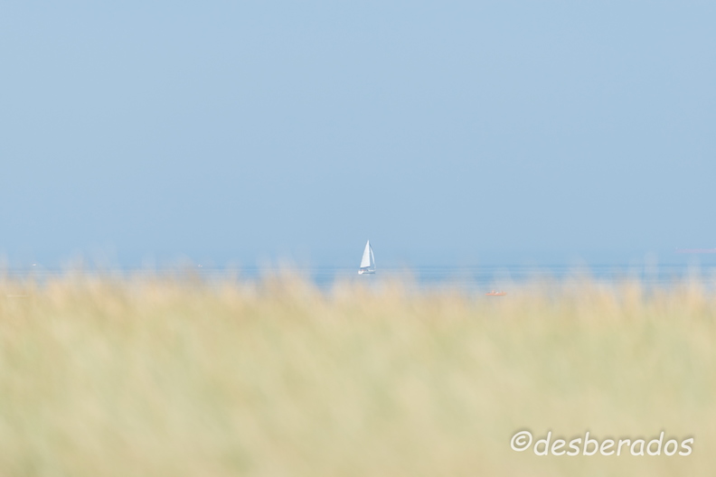 2013-07-21_180prefaillesD800E.jpg