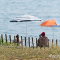 2013-07-21 264prefaillesD800E