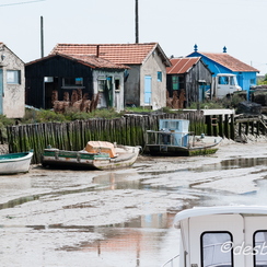 oleron-25