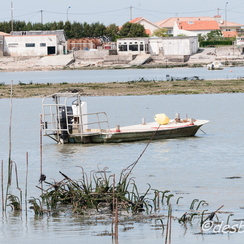 oleron-30