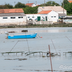 oleron-32