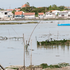 oleron-33
