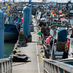 oleron-135