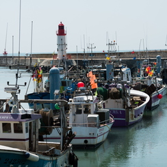oleron-137