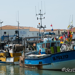 oleron-138