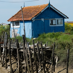 oleron-143