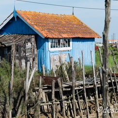 oleron-145