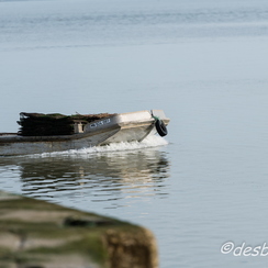 oleron-154