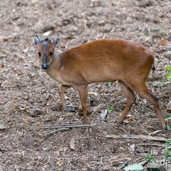 2014-08-22 274doueD800E