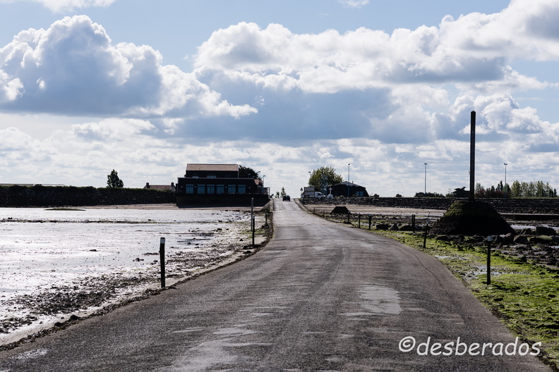 2015-04-29_7noirmoutier.jpg