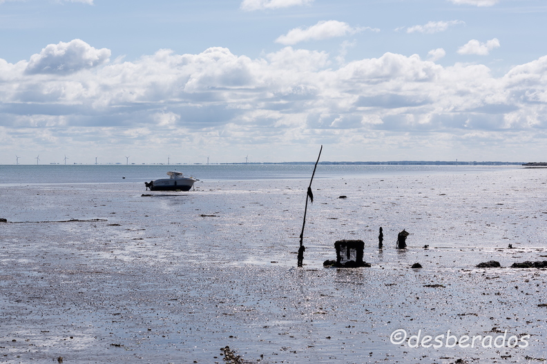 2015-04-29_25noirmoutier.jpg