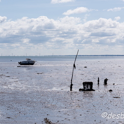 2015-04-29 25noirmoutier