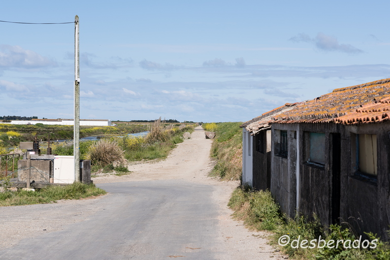 2015-04-29_29noirmoutier.jpg