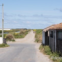 2015-04-29 29noirmoutier