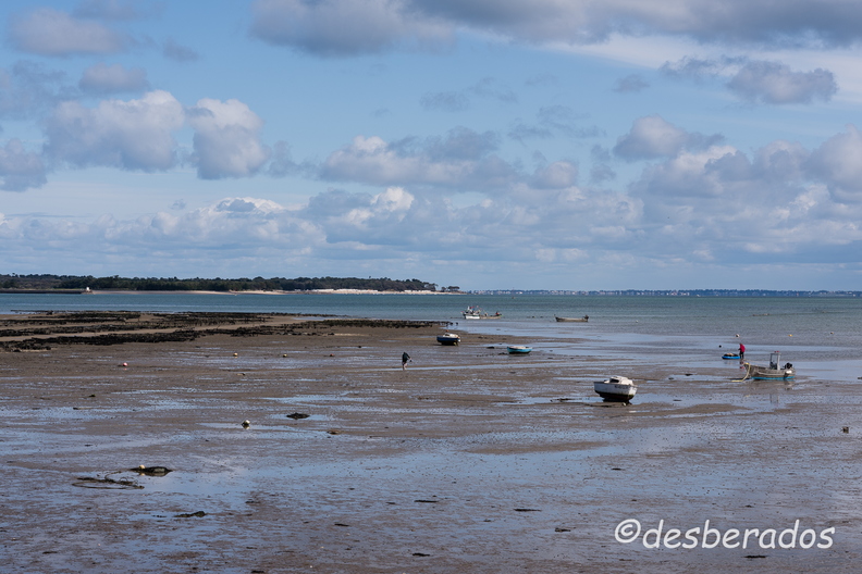 2015-04-29_31noirmoutier.jpg