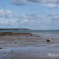 2015-04-29 31noirmoutier