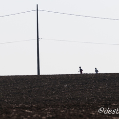 c etait du temps-291