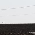 c etait du temps-292