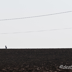 c etait du temps-292