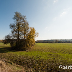  2009-11-09 145 loireD700