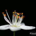 c etait du temps-295